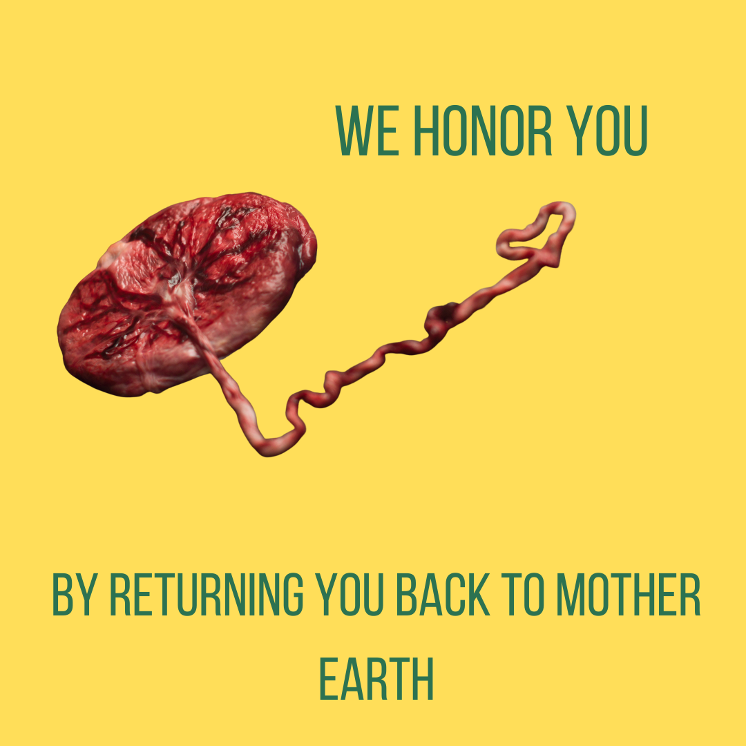 Honoring Ancestral Traditions: The Sacred Ritual of Placenta Burial